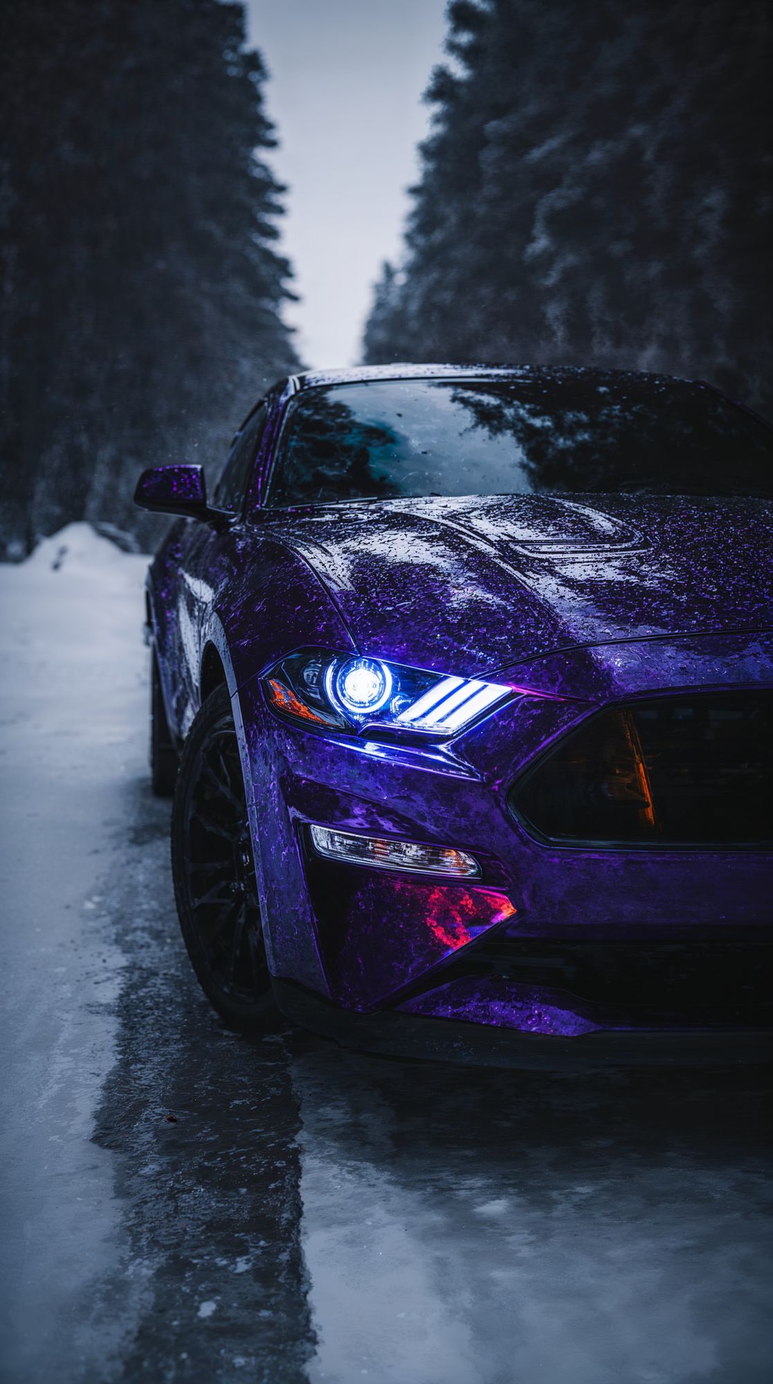 FREE wallpapers