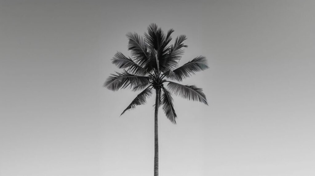High contrast monochrome palm tree artistic background