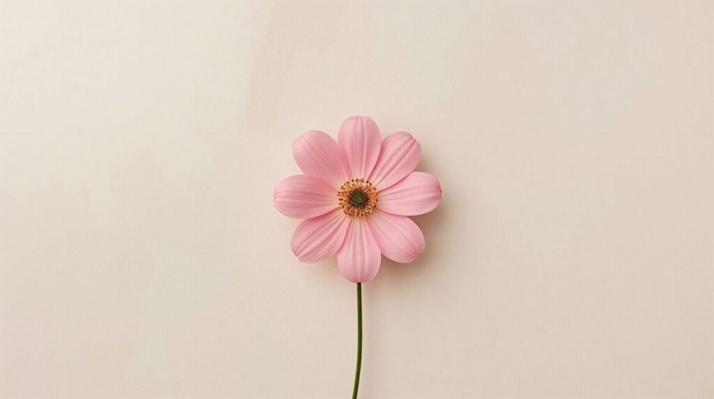 Simple minimalist pink flower on horizontal canvas