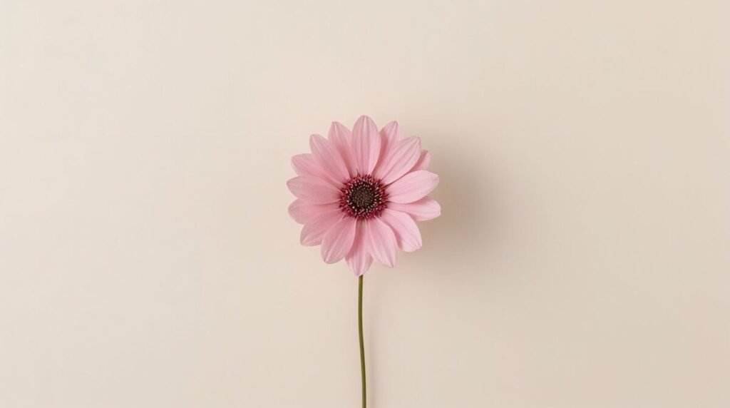 Minimalist pink flower design with soft petals