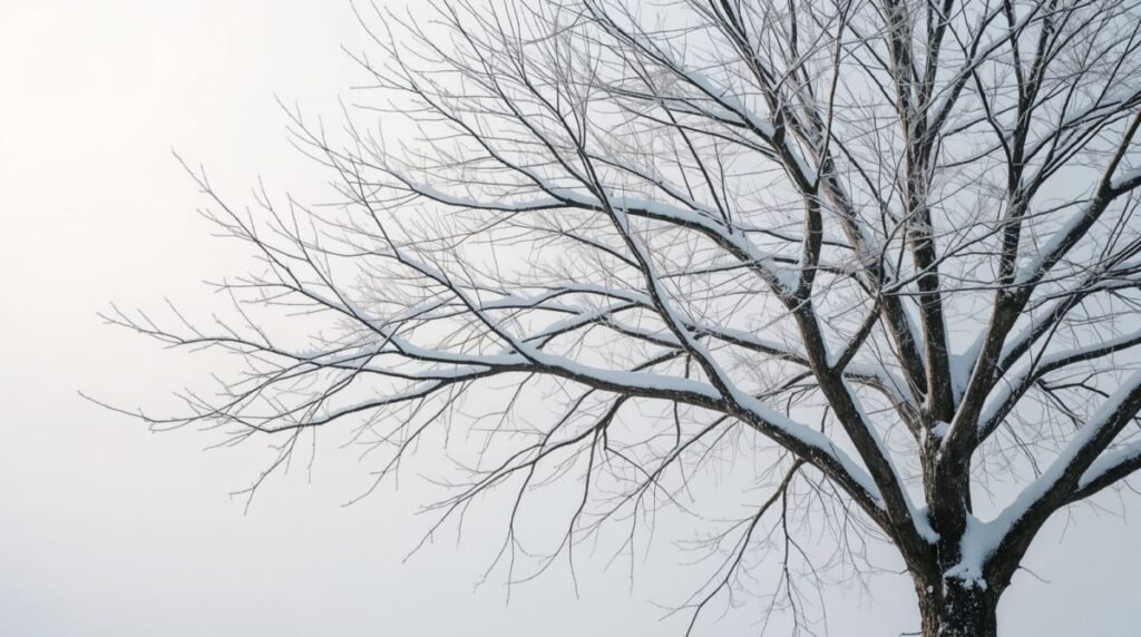 Lucid realism winter tree with intricate branches covered in snow, wide shot