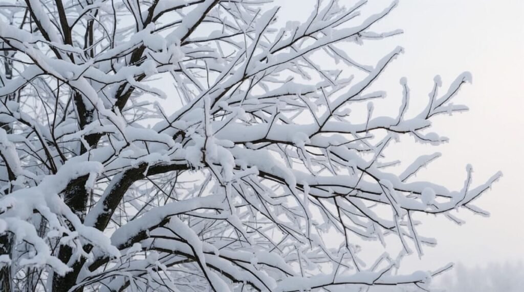 Lucid realism winter tree with intricate branches covered in a thick layer of snow, wide landscape